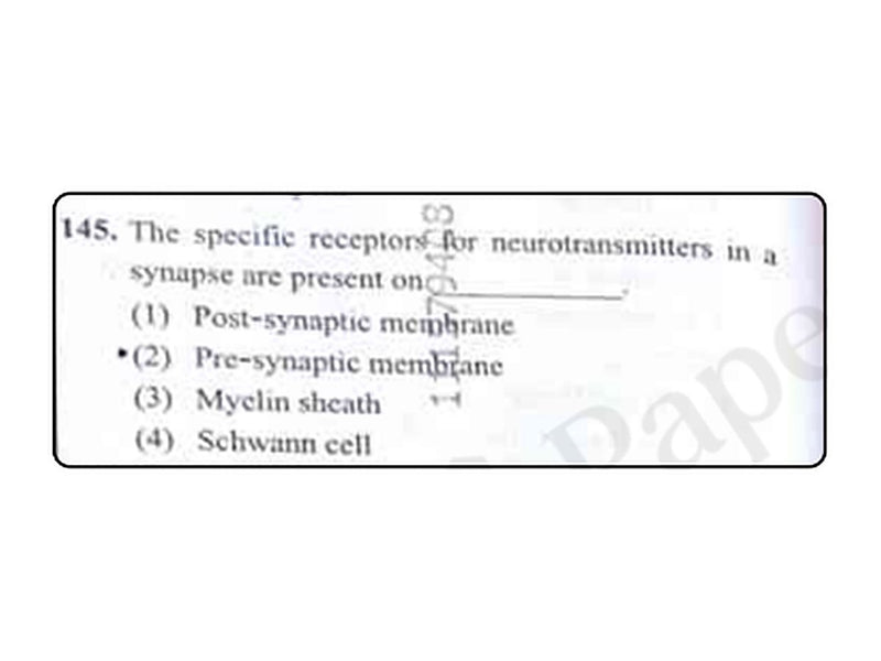 NEET 2026 Biology question 145: receptors for neurotransmitters in a synapse